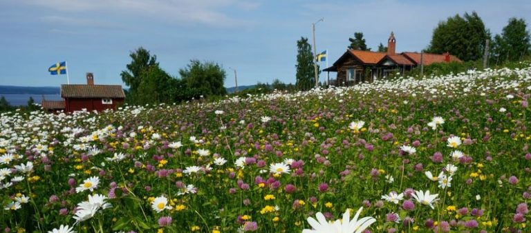 Turistkarta över Dalarna och dess sevärdheter - Allt om ditt Resmål